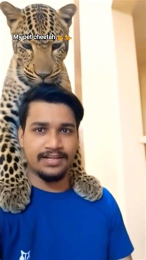 meet with my pet cheetah 🐆😁 #shortvideo #shorts #ytshorts #trending #viral #youtubeshorts