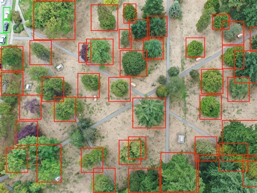Tracking Tree Health in Urban Spaces with Raspberry Pi @Raspberry_Pi #PiDay #RaspberryPi