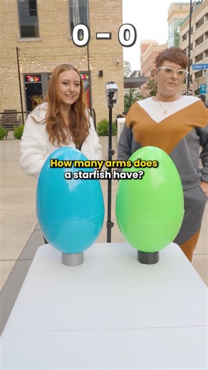 How Many Arms Does A Starfish Have? | Extra Medium Stuff