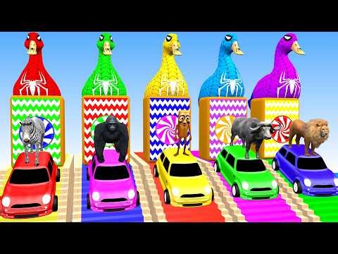 A fun 3D slide game featuring zoo animals – Animal Adventures