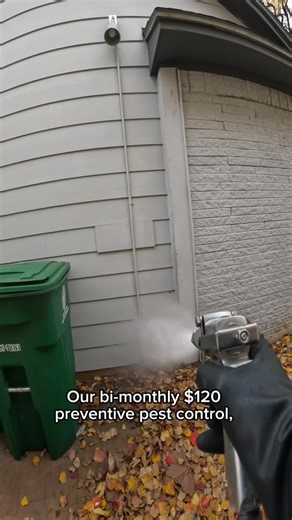 Affordable Bimonthly Pest Control Services in Houston