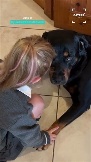 A Little Girl's Adorable Relationship With Pups