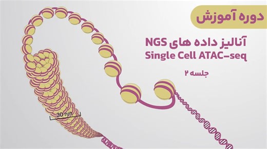 دوره آموزش انالیز داده های NGS Single Cell ATAC seq: جلسه دوم