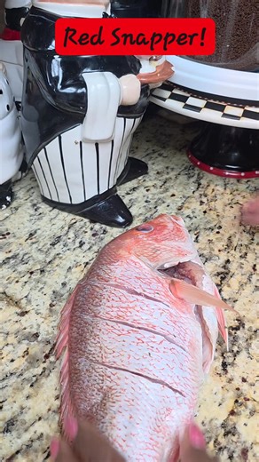 About to smoke this red Snapper. 😋 #fbreels #foryoupage #fyp #foryou #loveit #redsnapperseason | Marion's Amazing Catering LLC