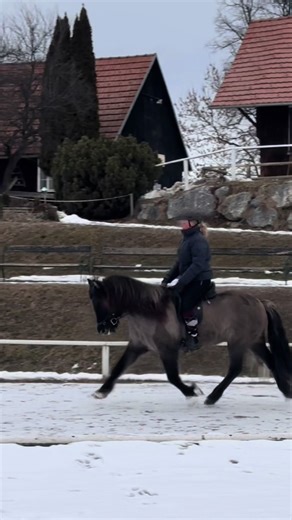 Andrea ❤️❤️ #andreafraeiniholti #fyp // habt ihr den Ticketmaster war überlebt bei Bruno Mars?🥲