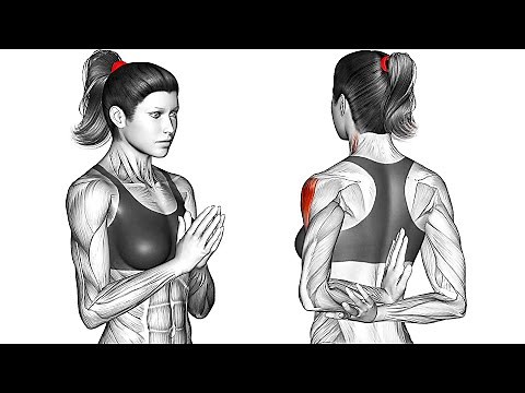 How to Get Toned Arms No Equipment