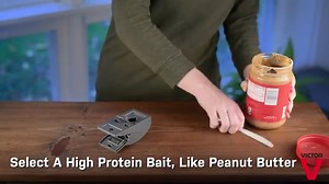 Victor Safe-Set Mouse Traps are the safe and simple way to protect your home from rodents. Shop now: https://bit.ly/3iR33Jm | Victor Pest