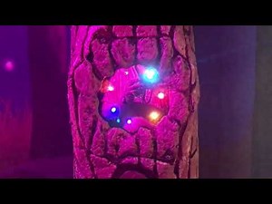 Great Wolf Lodge Pocono Mountains - MagiQuest - The Portal Rune
