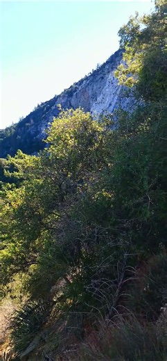 Psalms 72:2. May he judge your people in righteousness, your afflicted ones with justice.