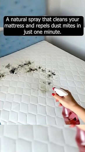 Dust Mites Gone in One Spray!