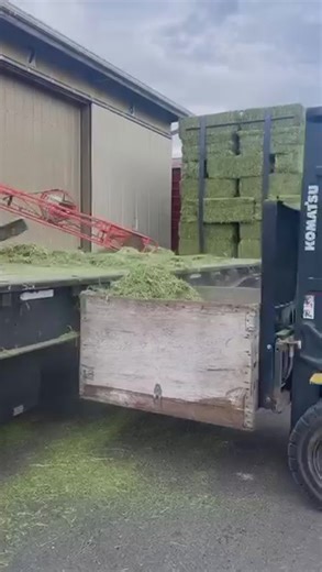 AND THAT’S A WRAP on another great week of moving #HAY 🎁 We’re heading into the week with plenty of great hay varieties in stock, plus some deliveries going out tomorrow (we may still have room to add a few more to tomorrow’s schedule), and some restocks lined up for next week. . . . .