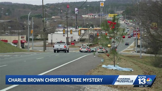'Charlie Brown' Christmas tree delights Trussville travelers in a holiday tradition