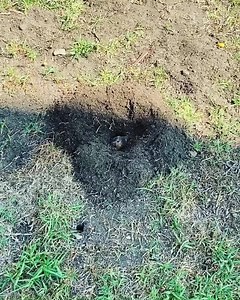 Taken a walk - This Hahaha ! Perfect feelin of comin out - Feels - Eh No time to go back in 🤣 Collective Sadhana Monday Feelin? 🖤🔱🖤Natire is so good!! | Rachel Hunter