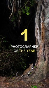 Here's your chance to stand among the best. The Nature inFocus Contest 2025 isn't just about one winner. We are recognizing 50 outstanding artists across categories like Photographer of the Year, Category Winners, Runners-Up, and Special Mentions. We want to see the world through your lens. The deadline is exactly one week from today, on September 10th. It's time to submit your best. #NatureInFocus #PhotographyAwards #WildlifePhotography #CallForEntries #NatureInFocusContest2025 | Nature inFocus