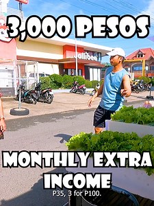 1.6M views · 38K reactions | 3,000 Pesos Monthly Extra NET Income mula sa Pagbebenta ng Lettuce | Negosyo Kahit may 8-5 na Trabaho | The Off Duty Accountant | Facebook