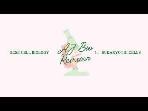 GCSE Cell Biology I Eukaryotic Cells
