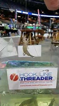 Best shrimp bait rig EVER!!