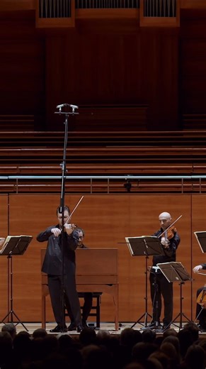 🌿✨ Der letzte Atemzug des Frühlings ✨🌿 VIVALDI - Die vier Jahreszeiten / Philharmonie der Solisten