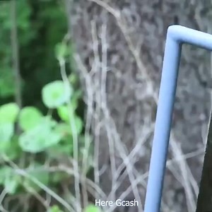 31K views · 171 reactions | Building a Bushcraft Cabin in the Wilderness Tips and Tricks  𢡄❤️#elonmusk #marketing #MarkZuckerberg  #threads #threadslift #reels #reelsfb #trending #memes #funny #l | Dara Novelas | Facebook