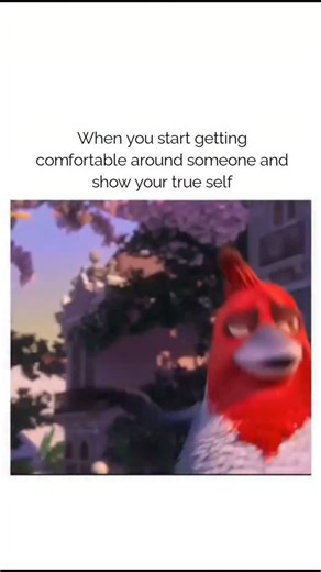 Movies & memes on Instagram: "Share it with that someone 🤣 🦜💙 Rio (2011) – A vibrant, musical, and heartwarming animated adventure that brings the rhythm of Brazil to life! From the creators of Ice Age, this film follows Blu, a rare blue macaw who’s been living a cozy, domesticated life in Minnesota with his owner Linda. But everything changes when they discover Blu isn’t the last of his kind—there’s a female macaw named Jewel in Rio de Janeiro. 🌴🌞 Blu and Linda travel to Brazil, where thin