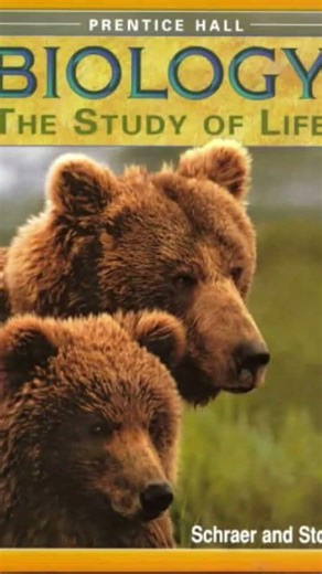 PLEASE SUBSCRIBE 🙏🙏🙏🙏