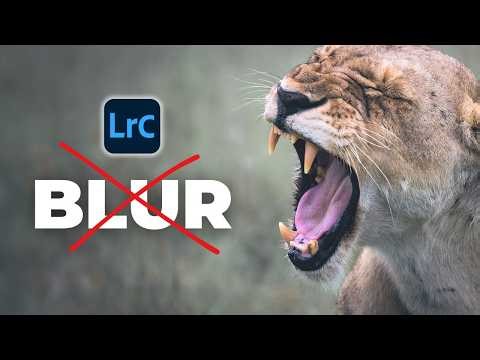 You’re Editing Your Wildlife Backgrounds Wrong