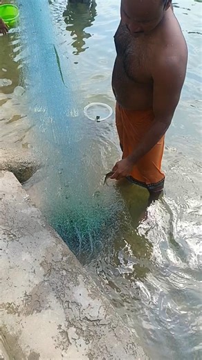 cast Net Fishing #viralvideo #myhappyvillagelifestyle #funny 🎣🎣🎣🎣🎣🎣🎣