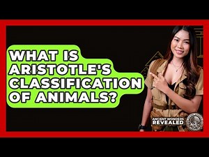 What Is Aristotle's Classification Of Animals? - Ancient Wonders Revealed