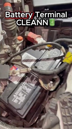 Easiest WAY To CLEAN your Battery Terminals !🔋 (FAST) #automobile #car #shorts