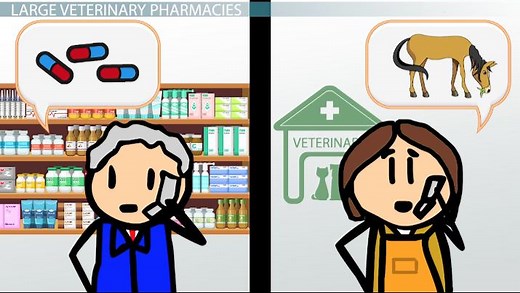 The Pharmacy in a Veterinary Clinic