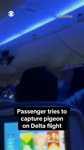 32K views · 115 reactions | A Delta Air Lines flight was delayed...