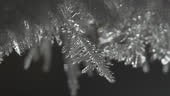 Timelapse close up of ice crystals forming, United Kingdom.