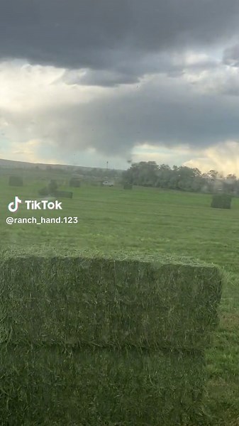 ranch_hand_2010 (@ranch_hand_2010)’s videos with original sound - Josh Hammons