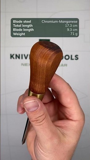 Narex Butt Chisel Wood Line PLUS 811056, bevel edge chisel 6 mm