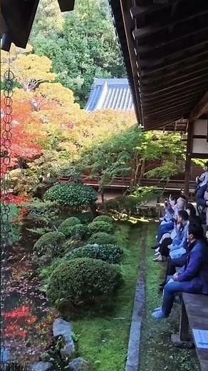 Saturday, November 15, 2025 [A hidden weekend gem] Kyoto, where the autumn leaves of Eikando Temp...