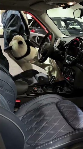 Automatic climate control Automatic parkingbmwmini #miniclubman#miniclubman#mini#miniclubman#cooll