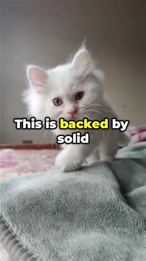 YOUR CAT'S PURR IS HEALING YOU (PROVEN)