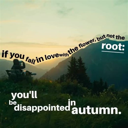 Robert Edward Grant on Instagram: "What draws us at first is often the blossom, the color, the immediate resonance. Yet nature teaches that beauty without foundation is seasonal, and seasons always turn. When attention rests only on what is visible or gratifying, commitment dissolves the moment growth demands patience. But when love is placed in the roots, in the values, the structure, the unseen work beneath the surface, continuity becomes natural. The real wonder was never the flower alone, bu