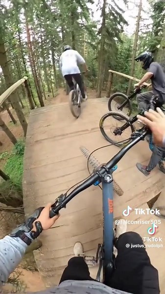 Understanding the Journey of a Polymath