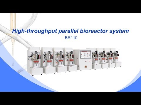 High-throughput parallel bioreactor system