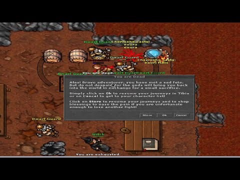 DIED IN TIBIA AND DROPPED MY ...