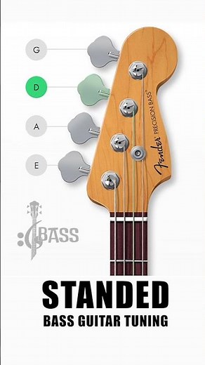 How To Tune a Bass Guitar (Stranded - 4 Strings) By @ChamisBass | @fender #chamisbass #shorts