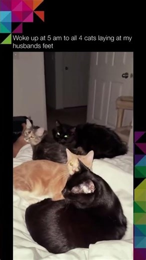 task failed successfully