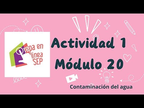 Actividad Integradora 1 Módulo 20