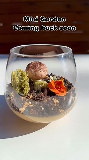 Mini Graden coming back this July 🤩🥳🥰. Limited Limited! | Bai Long Store