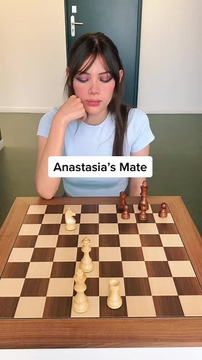 Mastering Chess: Rook and Knight Checkmate Strategy