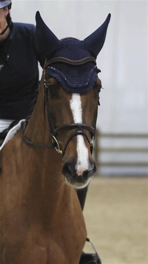 A few highlights from the LeMieux Dressage Masterclass presented by myself and Davison Equestrian at The London International Horse Show last week! 🎄 Very grateful to have had the opportunity to do this Masterclass at such an exciting show, Banzai absolutely loved being in the spotlight and we hope you enjoyed it! As always so great to catch up with sponsors 🥂 Thank you to my wonderful team 🙌🏼💪🏼AD🎥 @_harrysykes | Yasmin Ingham Eventing