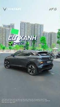 VF 6 - GREEN FLAG FOR CAR LOVERS!