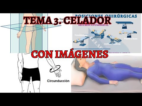 TOPIC 3 CARETAKER. With images and examples. Anatomical positions, postural changes, axis and plane