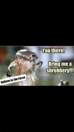 Joel Parker on Reels